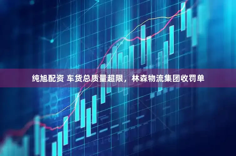 纯旭配资 车货总质量超限，林森物流集团收罚单