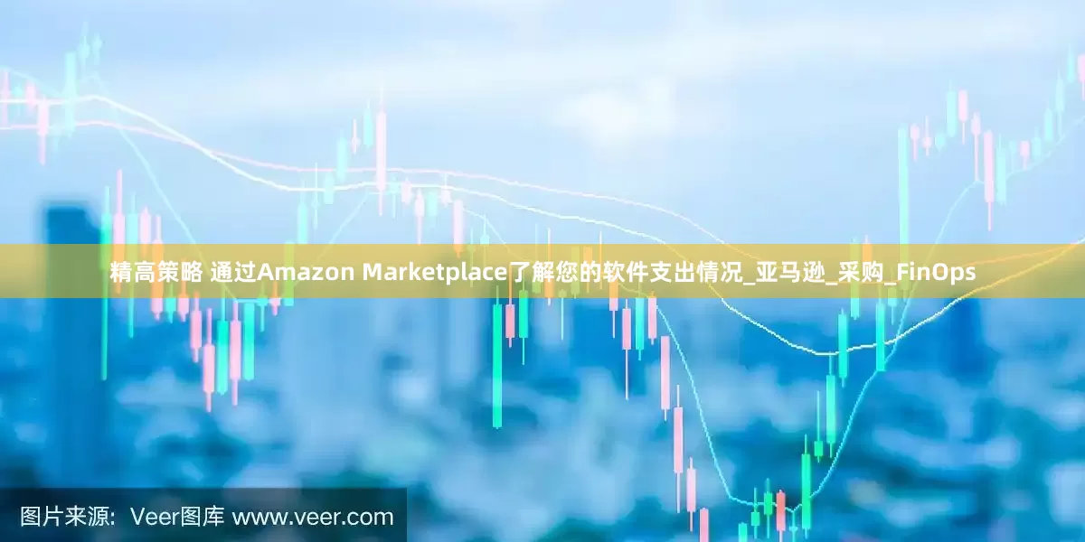 精高策略 通过Amazon Marketplace了解您的软件支出情况_亚马逊_采购_FinOps