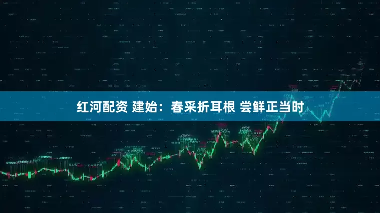 红河配资 建始：春采折耳根 尝鲜正当时